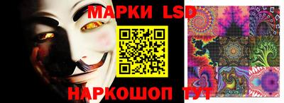 spice Боровичи