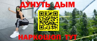 прущие грибы Брянск