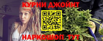прущие грибы Брянск