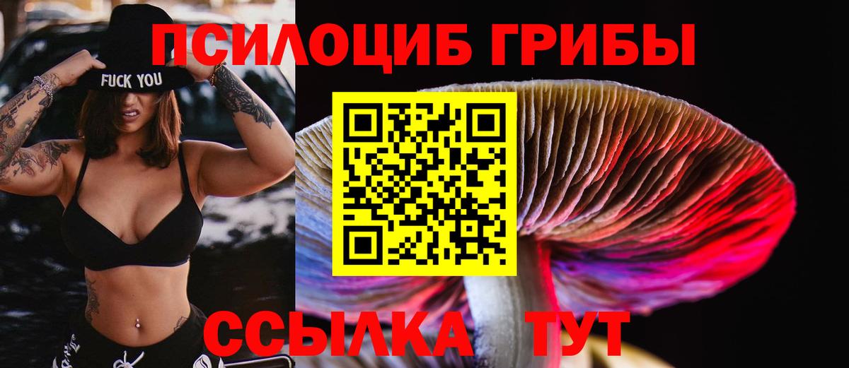 Гатчина  где продают наркотики  Вход с VPN  Псилоцибиновые грибы GOLDEN TEACHER 